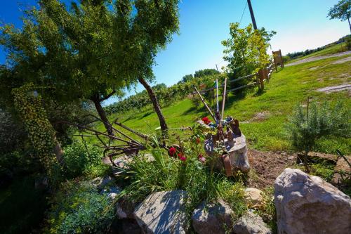 a garden with flowers on a hill with a bench at Agriturismo con Cucina tipica Nuova Scardua in Cavriana