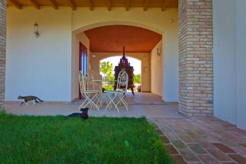 a dog standing in the grass in front of a house at Agriturismo con Cucina tipica Nuova Scardua in Cavriana