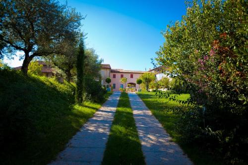 a long path with trees and a house in the background at Agriturismo con Cucina tipica Nuova Scardua in Cavriana