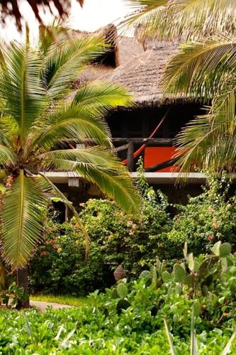 a palm tree in front of a house at El Alquimista Yoga Spa in Zipolite