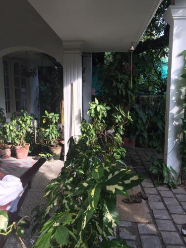 a house with a bunch of plants on the porch at Nathans Holiday Home in Cochin