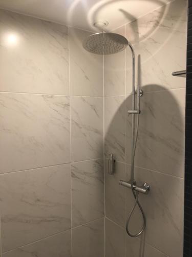 a shower with a shower head in a bathroom at Les lofts de Styliste in Brussels