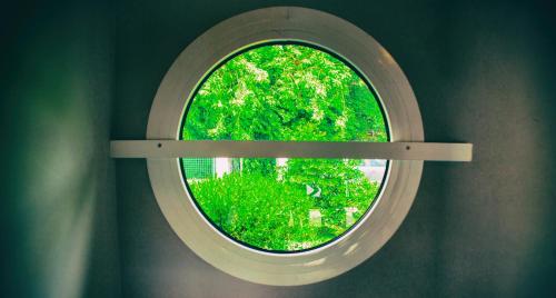 a round window in a room with a tree at Alyzes Diamant in Le Diamant