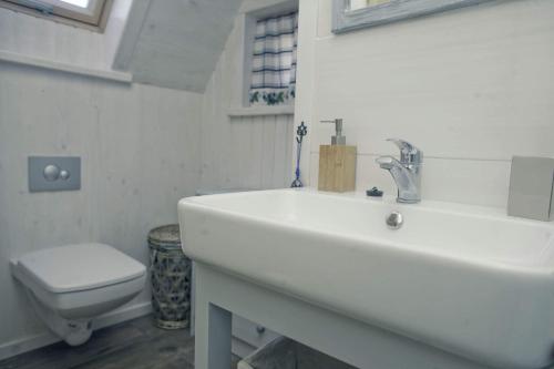 ザコパネにあるDomek Pod Sosnąのバスルーム(白い洗面台、トイレ付)