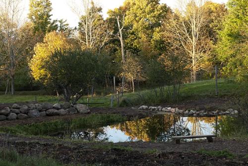 un banco sentado junto a un estanque en un parque en Green Dragon Organic Farm and B&B, en Tatamagouche