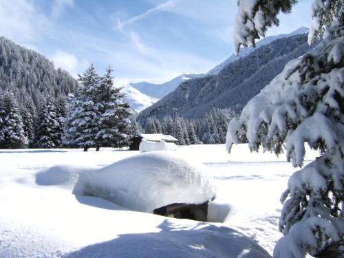a snow covered field with trees and mountains at Albergo Thurwieser in Santa Caterina Valfurva