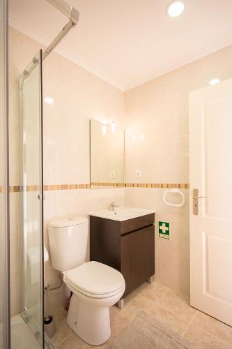 a bathroom with a toilet and a sink and a shower at CASAL RIQUEZO T1 - Serra da Pescaria - NAZARÉ in Nazaré