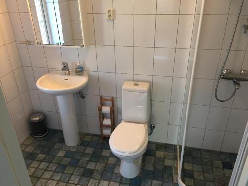 a bathroom with a toilet and a sink at Villa Solstrand in Fagerlund