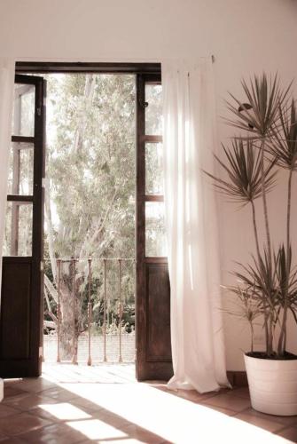 an open door with a potted plant in a room at Hotel Casa Tota in Todos Santos