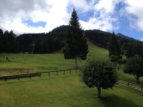 a tree in the middle of a field with a fence at Romantic Chalet-Style Flat with Mountain View in Torgon