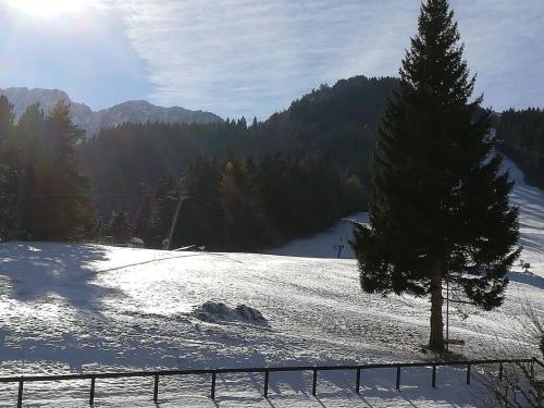 a tree in a snow covered field with a fence at Romantic Chalet-Style Flat with Mountain View in Torgon