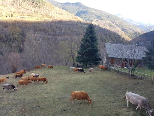 Rural L'Ortiga Blanca