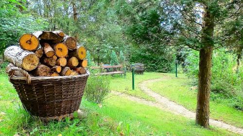 a basket full of logs in a park with a bench at Pension Waldfriede in Bad Tatzmannsdorf