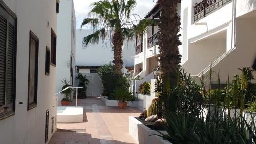 Casa Jameos