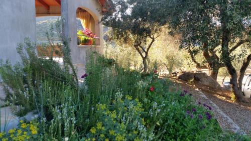 a garden with flowers on the side of a house at S'umbra de S'ozzastru in Orgosolo