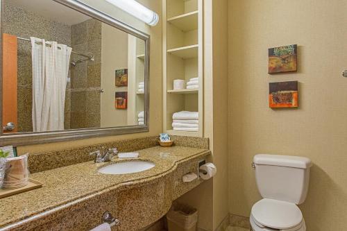 a bathroom with a sink and a toilet and a mirror at Hotel Ruidoso in Ruidoso
