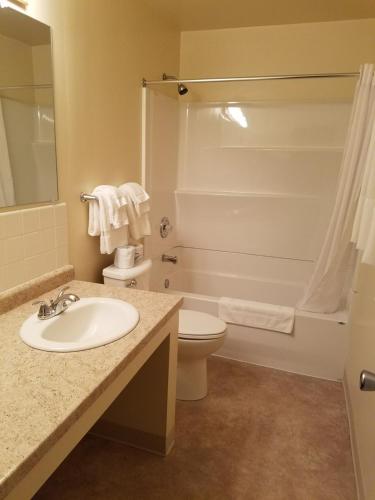 Buckhorn Resort في مونيسينغ: حمام مع حوض ومرحاض ودش
