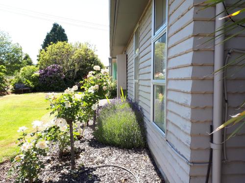 a garden next to a house with flowers at Edgewater Motel in Te Anau