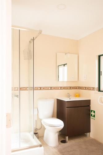 a bathroom with a toilet and a sink and a shower at Casal Riquezo T2-1.o- Serra da Pescaria - Nazare in Nazaré