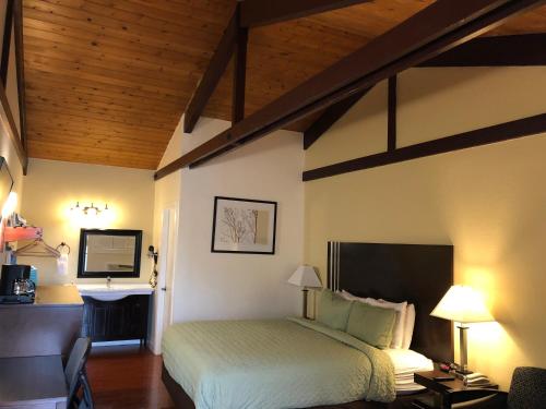 a bedroom with a bed and a desk and a television at Lombard Plaza Motel in San Francisco