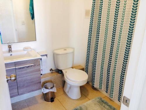 a bathroom with a toilet and a shower curtain at Haydeé Lomas de Papudo IV in Papudo