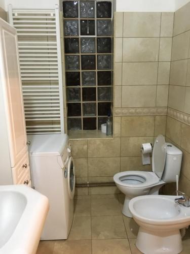 bagno con servizi igienici e lavandino di Anastasia a Mediaş