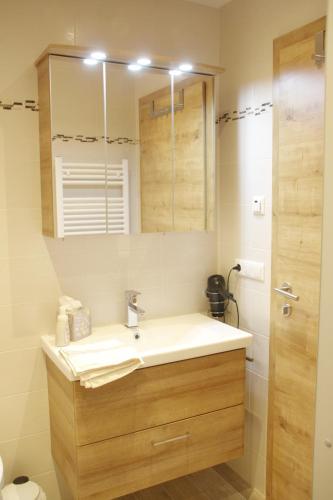 a bathroom with a sink and a mirror at Apartments Fuchs in Grundlsee