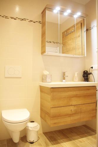 a bathroom with a toilet and a sink and a mirror at Apartments Fuchs in Grundlsee
