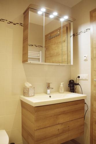 a bathroom with a sink and a mirror at Apartments Fuchs in Grundlsee