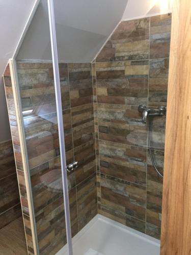 a shower in a bathroom with wooden walls at Apartmaji in sobe Tina in Kranjska Gora