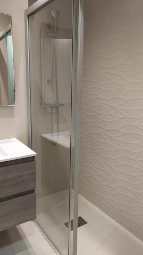 a shower with a glass door in a bathroom at San Anton Centro Apartment in Logroño