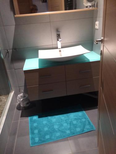 ル・ピュイ・アン・ヴレにあるL'Oddo de Gisseyの青の床のバスルーム(シンク付)