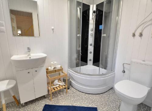 a bathroom with a shower and a toilet and a sink at Villa Playa in Dziwnówek