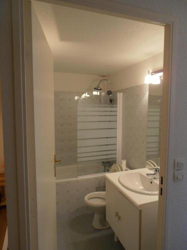 une salle de bain avec une baignoire, des toilettes et un lavabo dans l'établissement Appartement T2, à Luchon