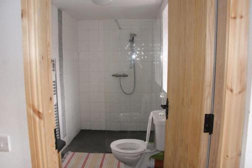 a bathroom with a shower and a toilet at Aran Thatch Cottage in Inis Mor