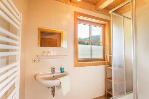 a bathroom with a sink and a shower at Hacklgut in Radstadt
