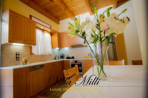 Villa Milli
