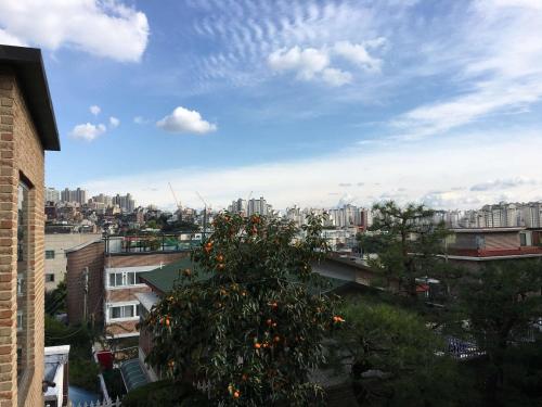 a tree with oranges on it in a city at Puzzlestay House in Seoul