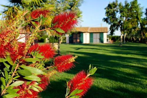 a bush with red flowers in front of a house at Agriturismo Bocci in Castiglione della Pescaia