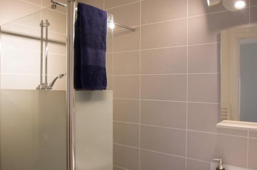 La salle de bains est pourvue d'une douche et d'une serviette bleue. dans l'établissement L'Esquile by Cocoonr, à Toulouse