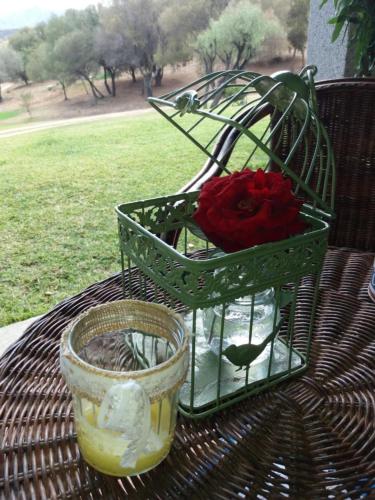 a green bird cage with a rose in it on a table at Agriturismo Sa Mendhula in Cugnana