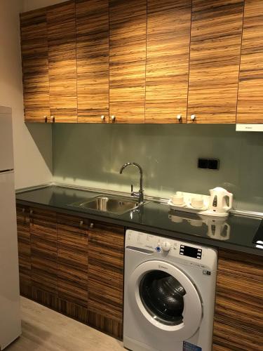 a washing machine in a kitchen with wooden cabinets at Apartamentos Apolo in Madrid