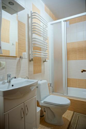 a bathroom with a toilet and a sink and a shower at Barvinok Karpat in Yaremche