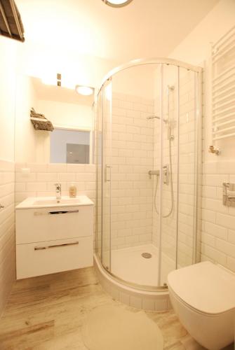 ein Bad mit einer Dusche, einem WC und einem Waschbecken in der Unterkunft Apartamenty 21 in Stettin