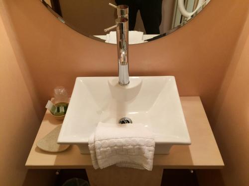 a bathroom with a sink and a mirror at LOGIS Hôtel Le Chantoiseau in Chaumont-sur-Aire