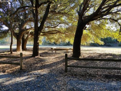 a park with benches and trees in a field at Ocean Pines Resort in Duck