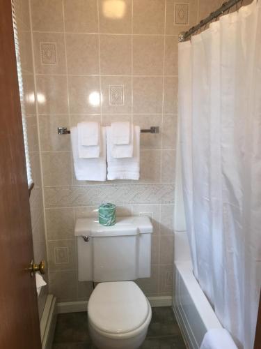 Ένα μπάνιο στο Stonybrook Motel & Lodge