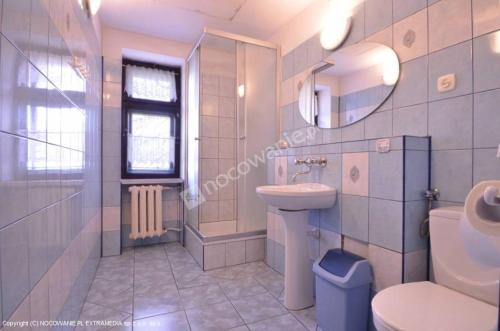 カルパチにあるIsmaのバスルーム(トイレ、洗面台、鏡付)