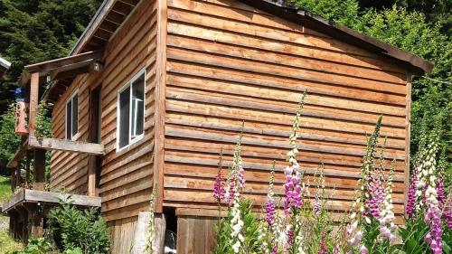 Hollis Creek Cabin – Photos 2