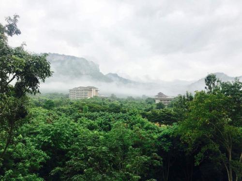 a view of a forest of trees with mountains in the background at Courtyard khaoyai by JP in Mu Si